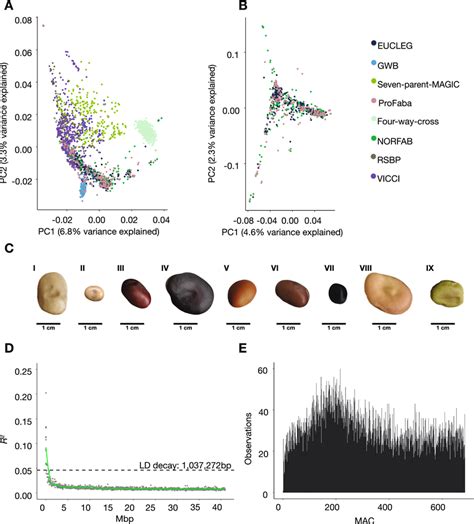 Characterization of the diversity panel. A, B The genetic structure of ... 