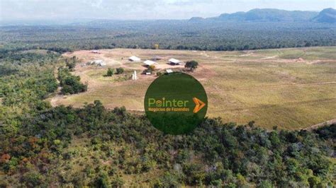 Fazenda Sítio 25000000 m² em Centro em Guiratinga por R 392 500 000