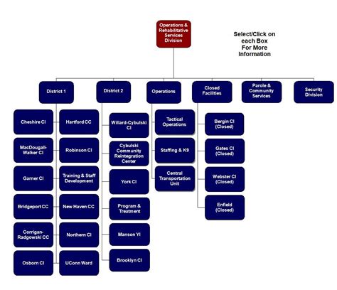 It Department Organization Chart