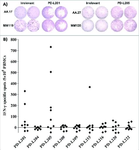 Screening For T Cell Responses Towards Minimal Peptides Derived From Download Scientific