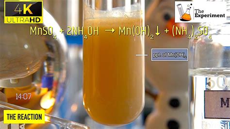 What Happens When Ammonium Hydroxide Nh4oh And Manganese Ii Sulfate