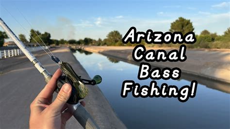 Canal Bass Fishing Arizona Urban Canals Youtube