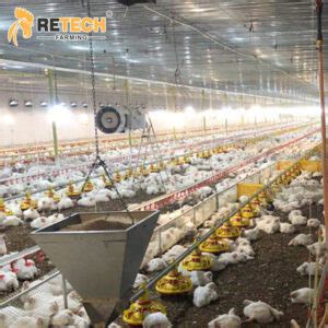 The Profit of Broiler Farming - RETECH Farming