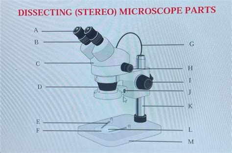 Solved COMPOUND (LIGHT) MICROSCOPE PARTS DISSECTING | Chegg.com