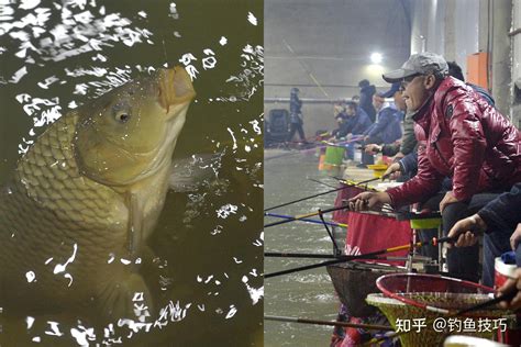 冬季黑坑钓鱼技巧之冬季在黑坑钓鱼的四个诀窍 知乎