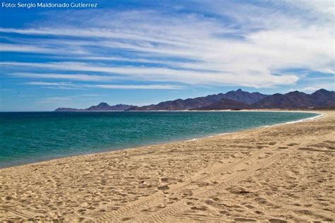 Parque Nacional Cabo Pulmo Comisi N Nacional De Reas Naturales