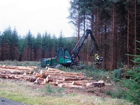 Harvesting Forestry Focus