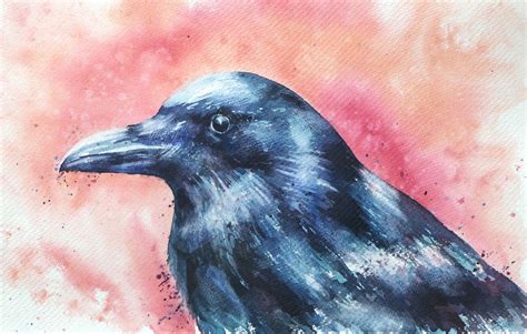 Neugierig Vogel Aquarellmalerei Rabe Aquarell Von Thomas Habermann