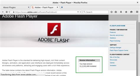 How To Enable Adobe Flash Player On Mozilla Womankurt