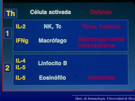 Ppt Dpto De Inmunología Universidad De Navarra Powerpoint