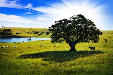 Sabes La Diferencia Entre Paisaje Natural Y Cultural