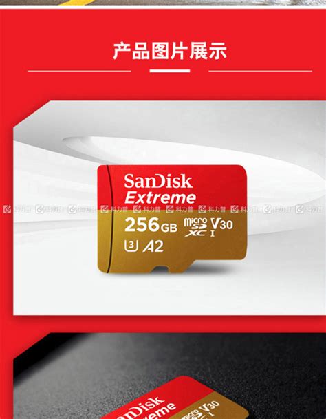 闪迪 TF存储卡 SDSQXA1 256G ZN6MA 256G U3 V30 C10 4K A2 至尊极速移动版 读速160MB s 写速