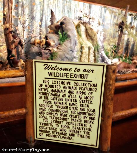 What the recent Bushkill Falls preservation plan means for nature 8