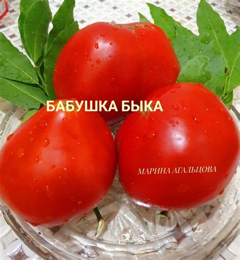ТОМАТ 《БАБУШКА БЫКА》 Любимчик вот уже несколько лет. Прежде всего люблю ...