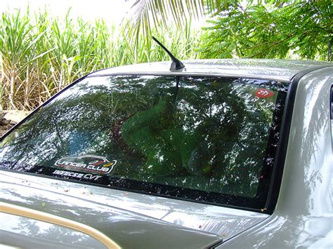 Couple Caught Having Car Sex In Public EBaum S World