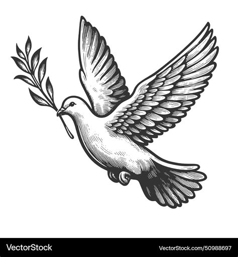 Peace Dove With Olive Branch Engraving Royalty Free Vector