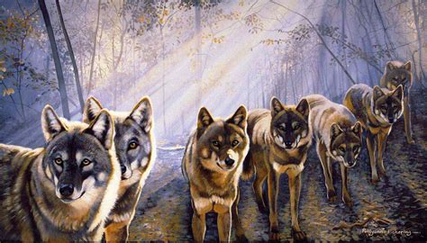 Wolf Pack Wallpapers Top Free Wolf Pack Backgrounds Wallpaperaccess