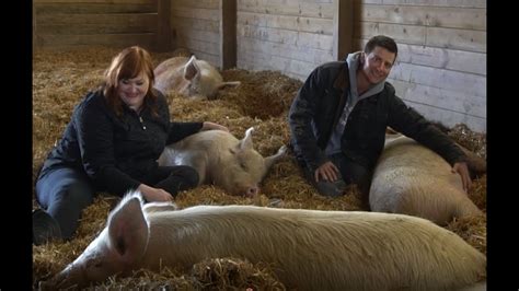 Pigs At Sasha Farm Animal Sanctuary With Brece Clark The Humane