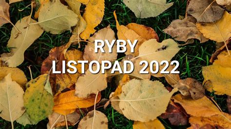 Ryby Listopad Youtube