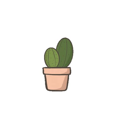 Cactus Sticker For IOS Android GIPHY