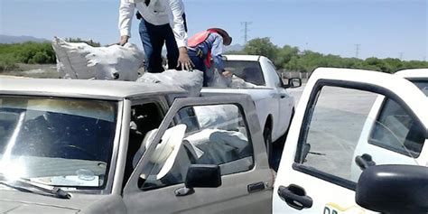 Profepa La ley al servicio de la naturaleza Asegura PROFEPA más de