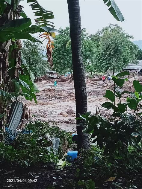 5 Fakta Banjir Bandang Dan Longsor Di Flores Timur