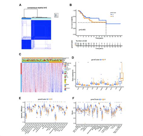 Prognosis And Tme Characteristics In Two Cuproptosis Gene Clusters For