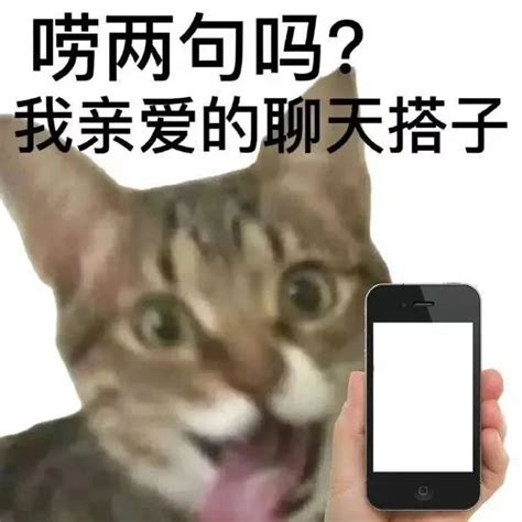 表情包 搭子必备表情包