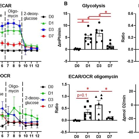 Changes In Glucose Metabolism In Cardiac Macrophages After MI In CCR2