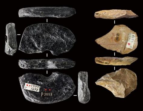 45,000-Year-Old Tools And Bones Reveal Earliest Evidence of Homo ...