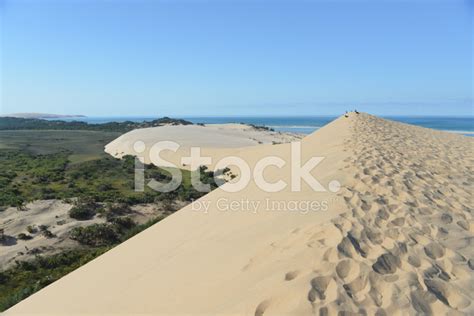 Bazaruto Island Sand Dunes Stock Photo | Royalty-Free | FreeImages