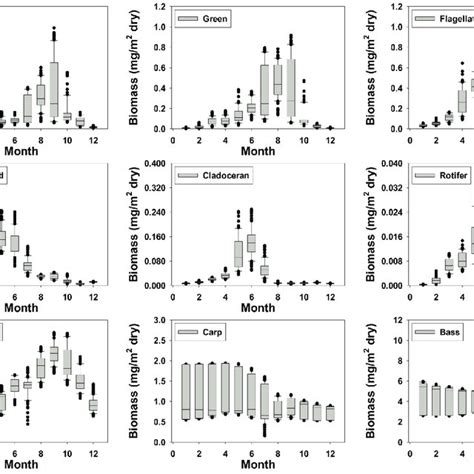 Boxplot Of Monthly Average Biomass For Each Simulated Aquatic Species