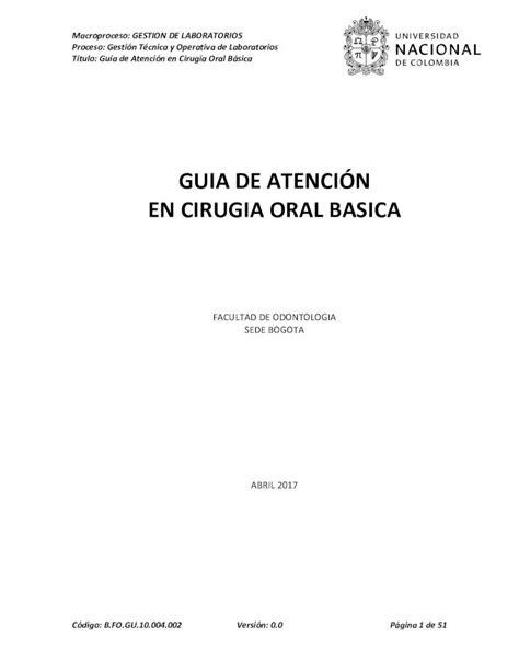 PDF GUIA DE ATENCIÓN EN CIRUGIA ORAL BASICA Título Guía de