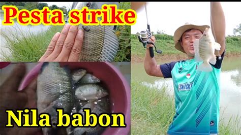 Pesta Strike Mancing Di Danau Ikan Nila Babon Pada Kelaparan Youtube