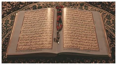 Surah Al Hujurat Ayat Tentang Kerukunan Di Tengah Perbedaan