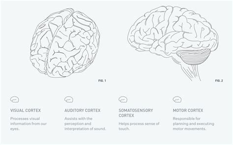 What exactly is Neuralink and what does it do