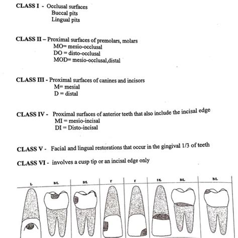 Quiz 2 Dental Caries Flashcards Quizlet