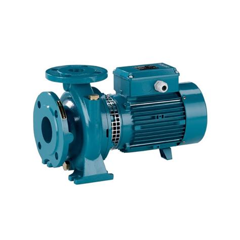 Buy Calpeda Nm A A Flanged End Suction Pump V