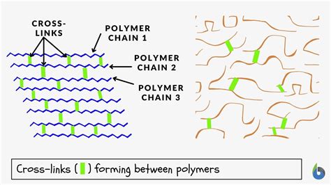 Cross Linking Definition And Examples Biology Online Dictionary