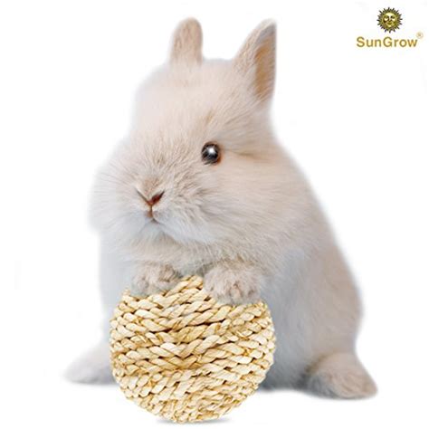 Sungrow Cat Sisal Rope Scratcher Ball And Ferret Rabbit Anti Chew Shoe