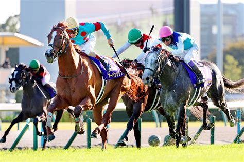 【菊花賞】アーバンシックが春の悔しさ晴らすg1初制覇 激しい先行争いもルメール騎手は冷静タクト「道中で息を入れることもできた