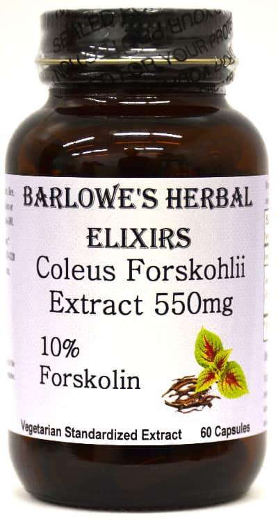 Coleus Forskohlii Extract (10%)