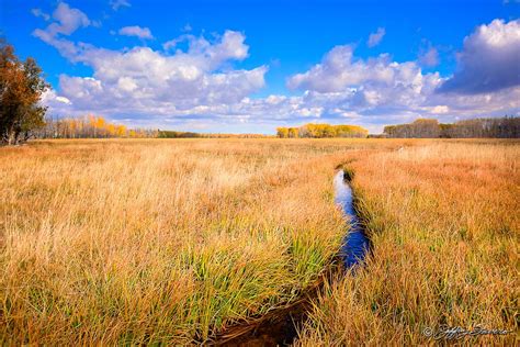 Fall Meadow Grass - Jeffrey Favero Fine Art Photography