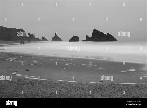 Panoramic view of the Pacific Coast from Goat Rock state park, Sonoma ...