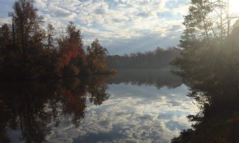 Hamilton Lakes And Parks Greensboro Nc