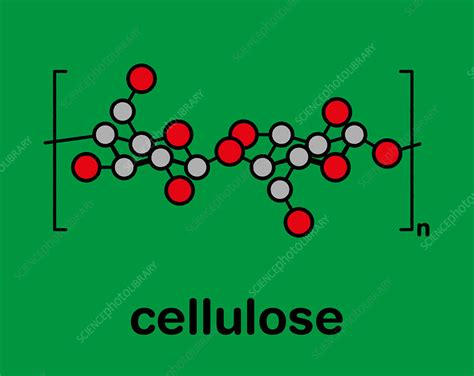 Cellulose chemical structure, illustration - Stock Image - F027/8295 ...