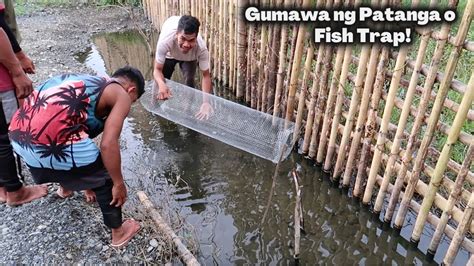 Ang Daming Isda Isinalin Sa Fish Pond Pamimingwit At Panghuhuli Ng