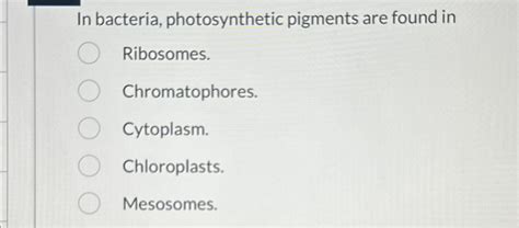 Solved In bacteria, photosynthetic pigments are found | Chegg.com