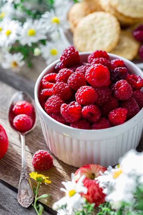 Images Gratuites Plante Framboise Fruit Baie Aliments Produire