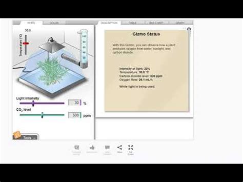 Photosynthesis Lab Gizmo Activity Youtube